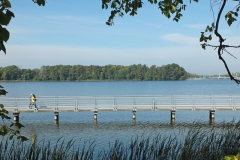 DSCF9934