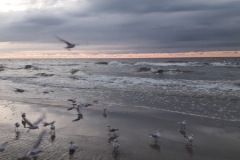 IMG-20210905-WA0028