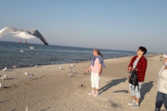 IMG-20210910-WA0015
