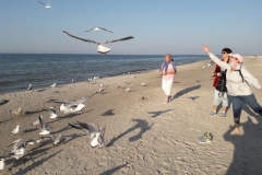 IMG-20210910-WA0017
