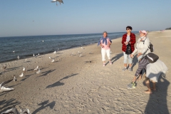 IMG-20210910-WA0018