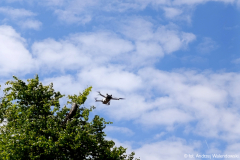 IMG_20250507_110958