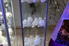 IMG_20250108_112011