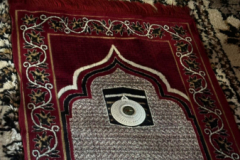 IMG-20260514-WA0128