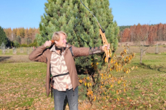 IMG-20251109-WA0007
