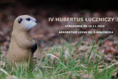 Zdjęcie WhatsApp 2024-11-09 o 18.16.16_d512b27c