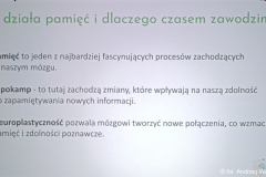 IMG_20241113_100626