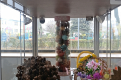 IMG_20241113_104031
