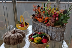 IMG_20241113_104040