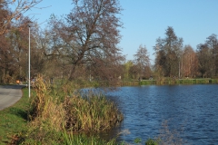 DSCF1261