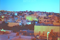 IMG_20251119_103250