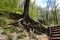 dscn4165