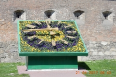 dscn4223