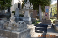 dscn4305