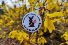 Zdjęcie WhatsApp 2024-03-23 o 17.25.34_57eef605