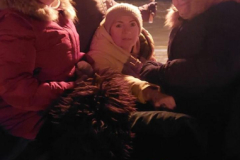 IMG-20241229-WA0014