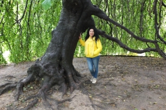 DSCF9520