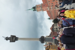 DSCF9581