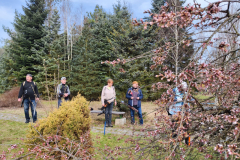 IMG-20250330-WA0014