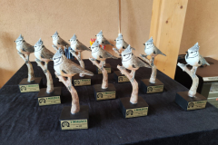 IMG-20250330-WA0029