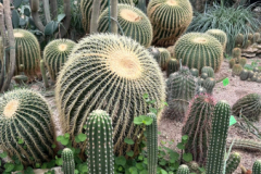 IMG-20260602-WA0016