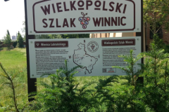 IMG-20260602-WA0042