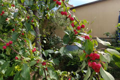 IMG_20240902_133353